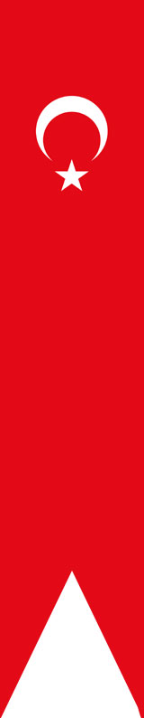 Türk bayrağı